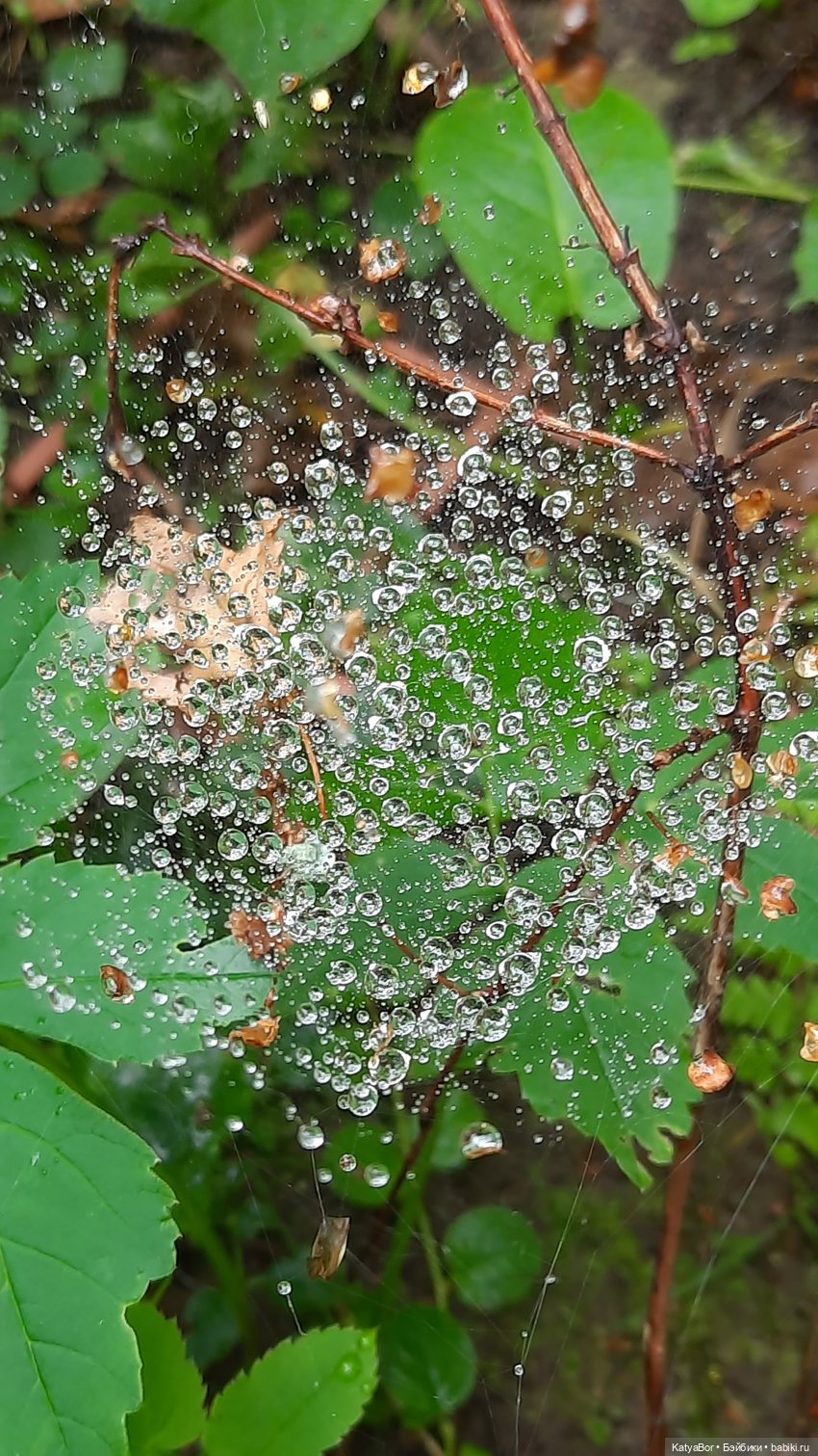 Еще вчера — Куклы Paola Reina (Паола Рейна): новинки