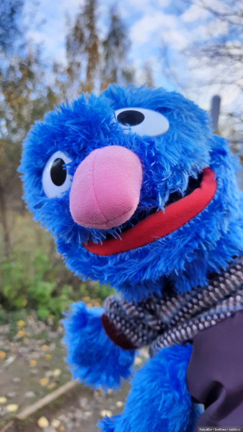 И снова на прогулку...по Битцевскому лесопарку...с Гровером😯