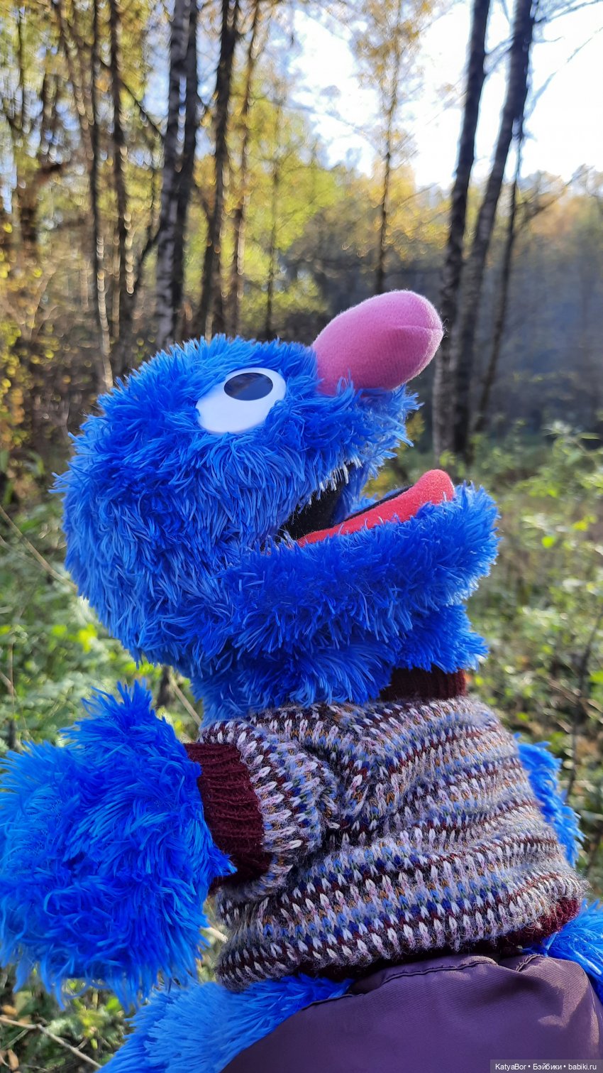 И снова на прогулку...по Битцевскому лесопарку...с Гровером😯 (фото 2)