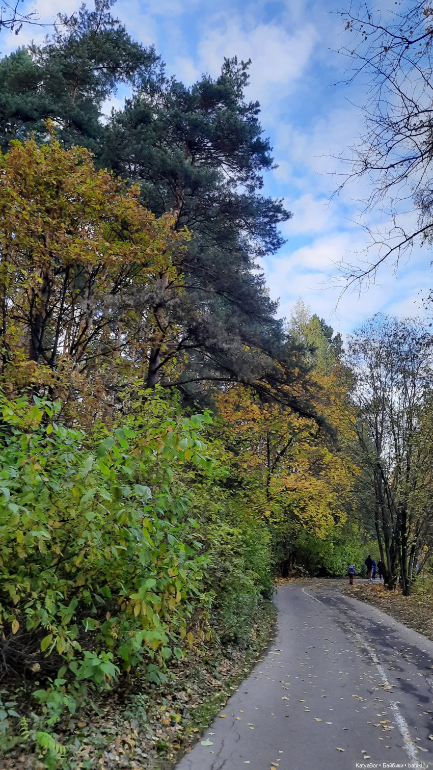 И снова на прогулку...по Битцевскому лесопарку...с Гровером😯