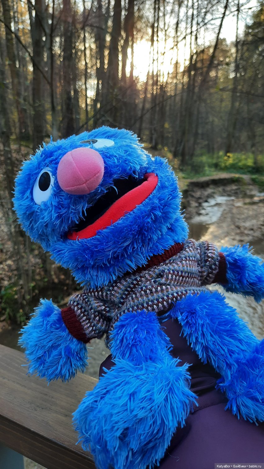 И снова на прогулку...по Битцевскому лесопарку...с Гровером😯 (фото 7)