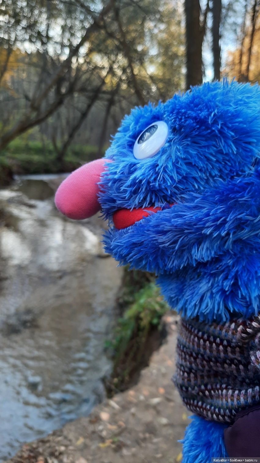 И снова на прогулку...по Битцевскому лесопарку...с Гровером😯 (фото 3)