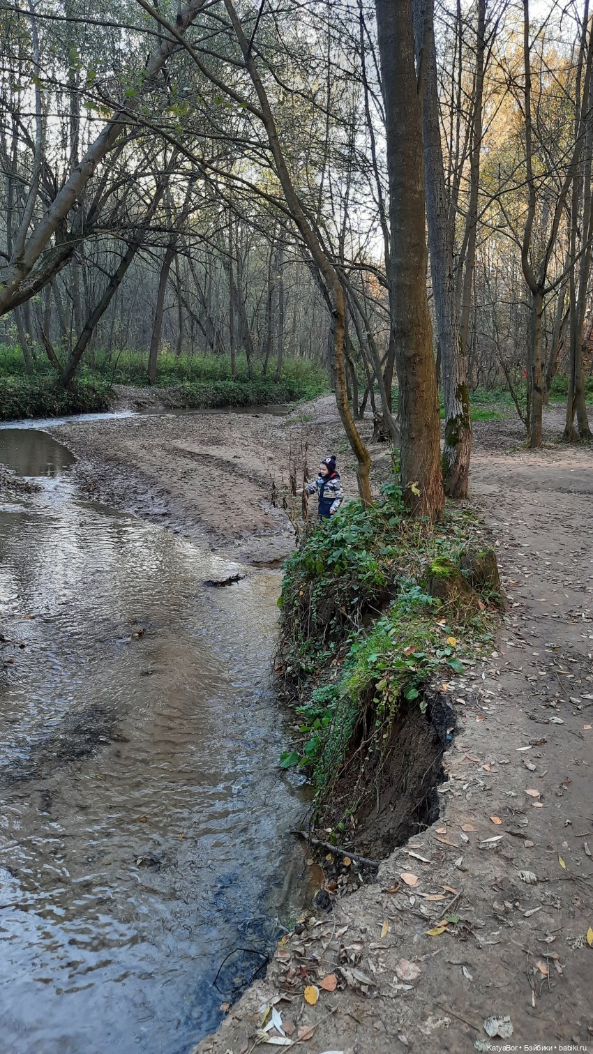 И снова на прогулку...по Битцевскому лесопарку...с Гровером😯 (фото 4)
