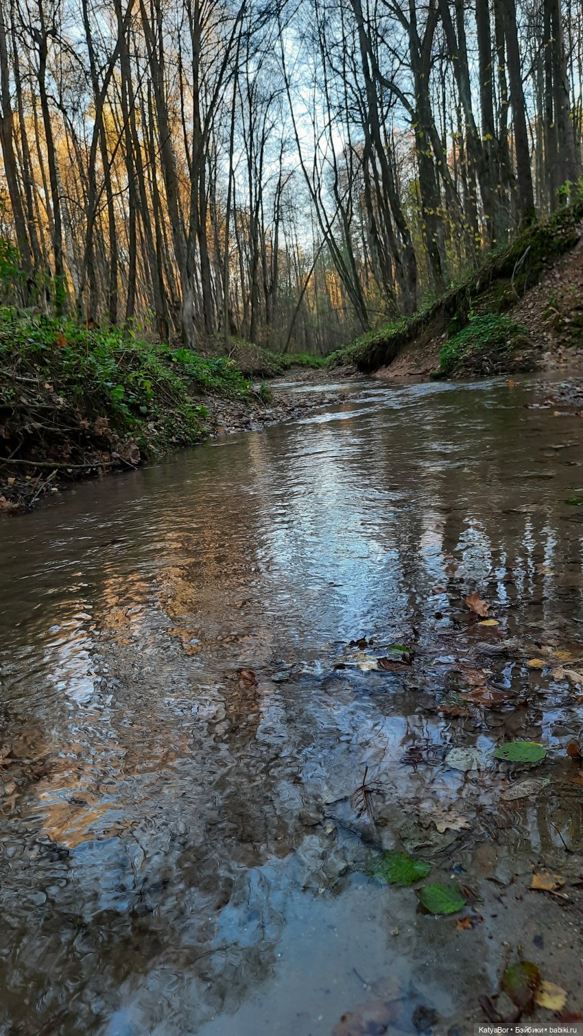 И снова на прогулку...по Битцевскому лесопарку...с Гровером😯