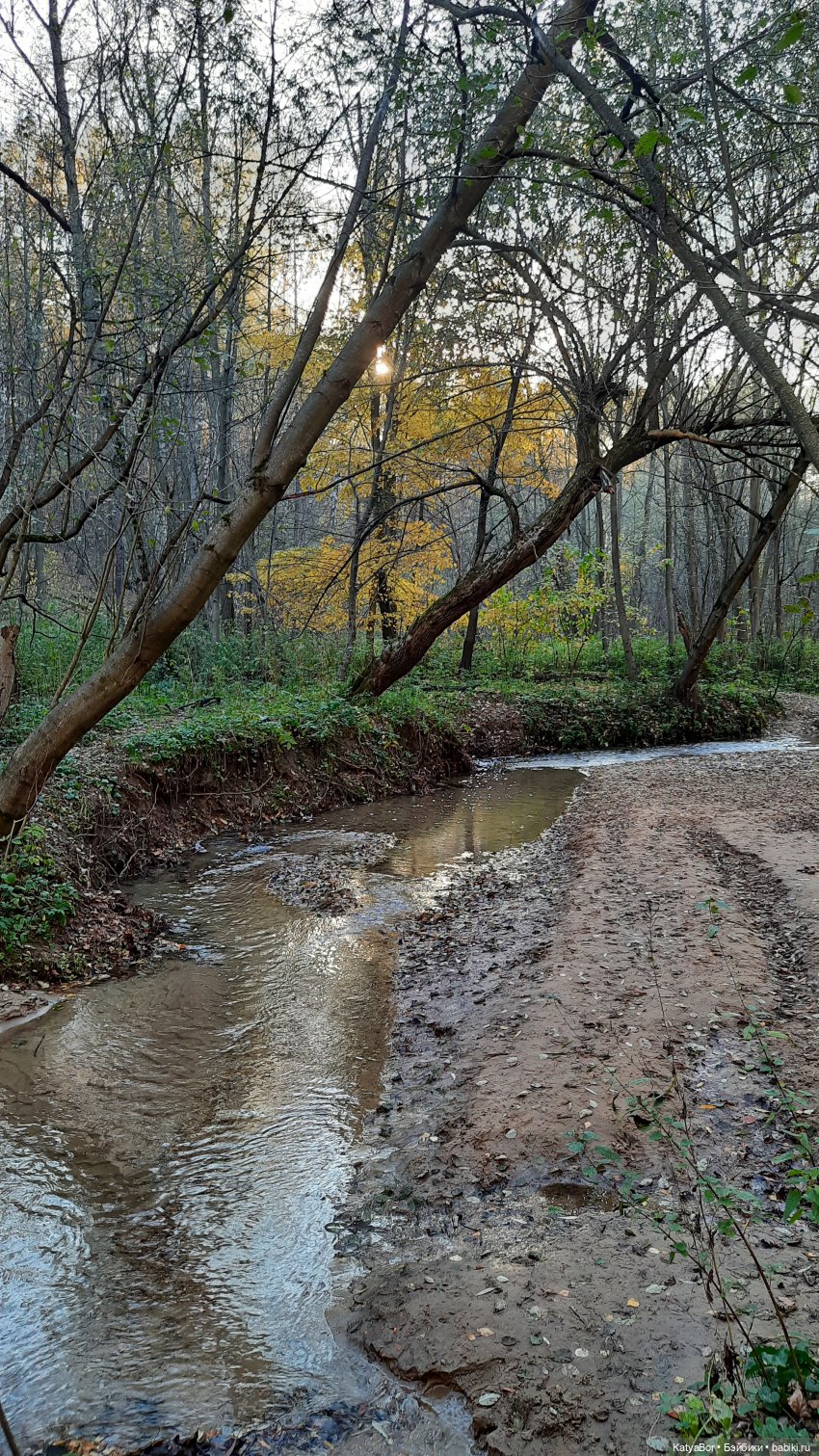 И снова на прогулку...по Битцевскому лесопарку...с Гровером😯 (фото 9)