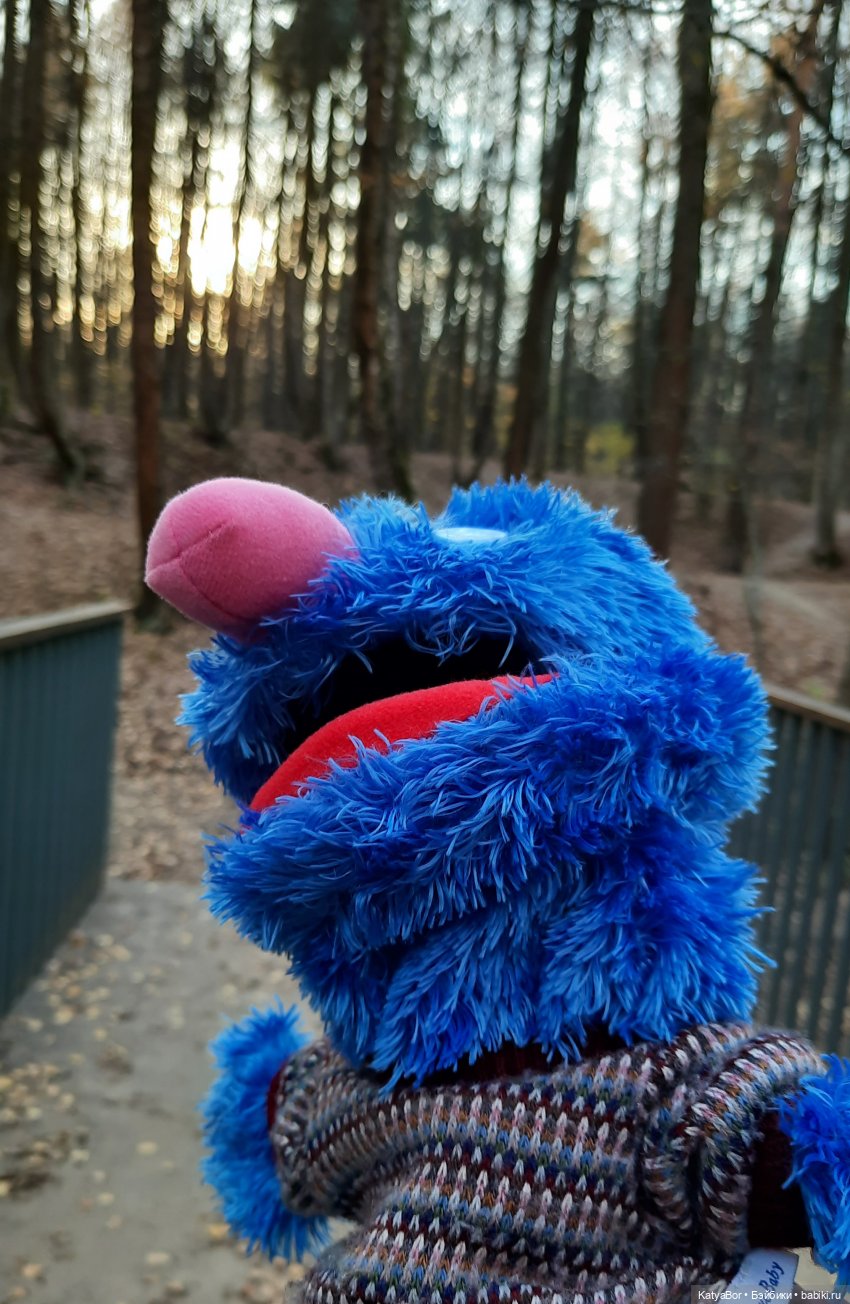 И снова на прогулку...по Битцевскому лесопарку...с Гровером😯 (фото 8)