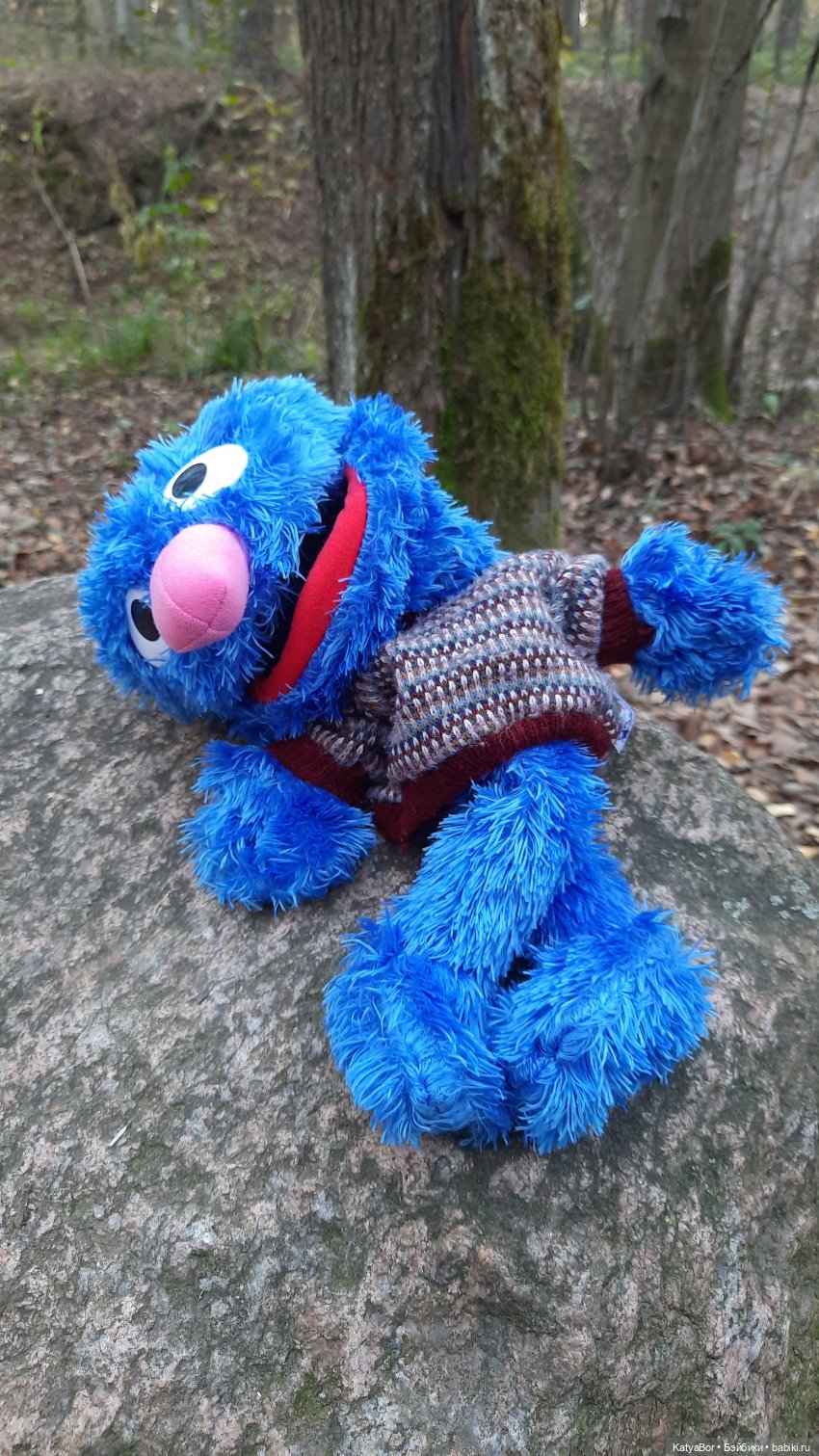 И снова на прогулку...по Битцевскому лесопарку...с Гровером😯