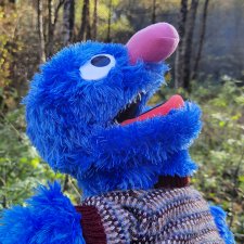 И снова на прогулку...по Битцевскому лесопарку...с Гровером😯