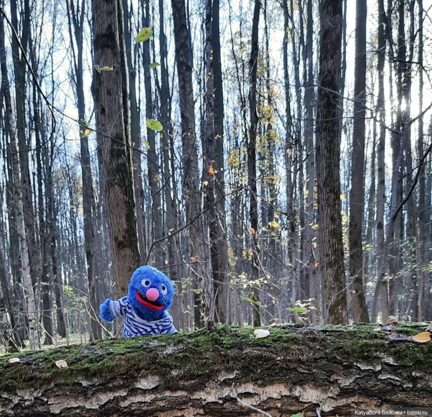 Новые приключения в Битце