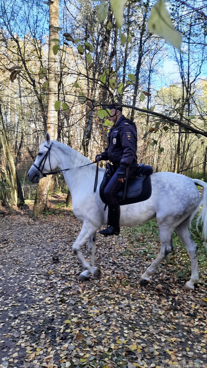 Новые приключения в Битце