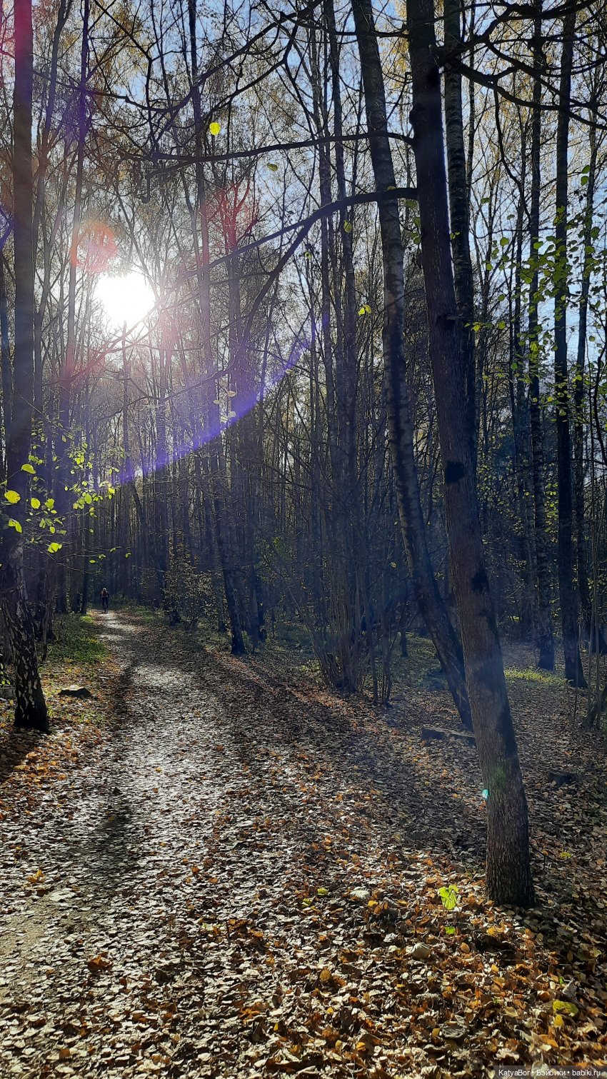 Новые приключения в Битце