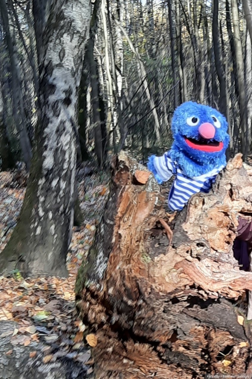 Новые приключения в Битце