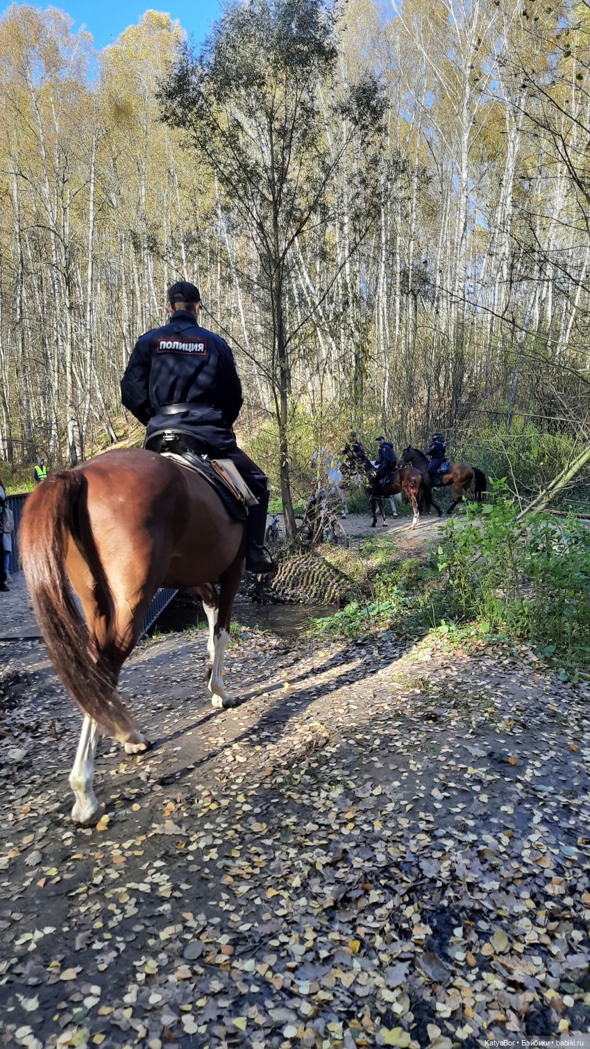 Новые приключения в Битце