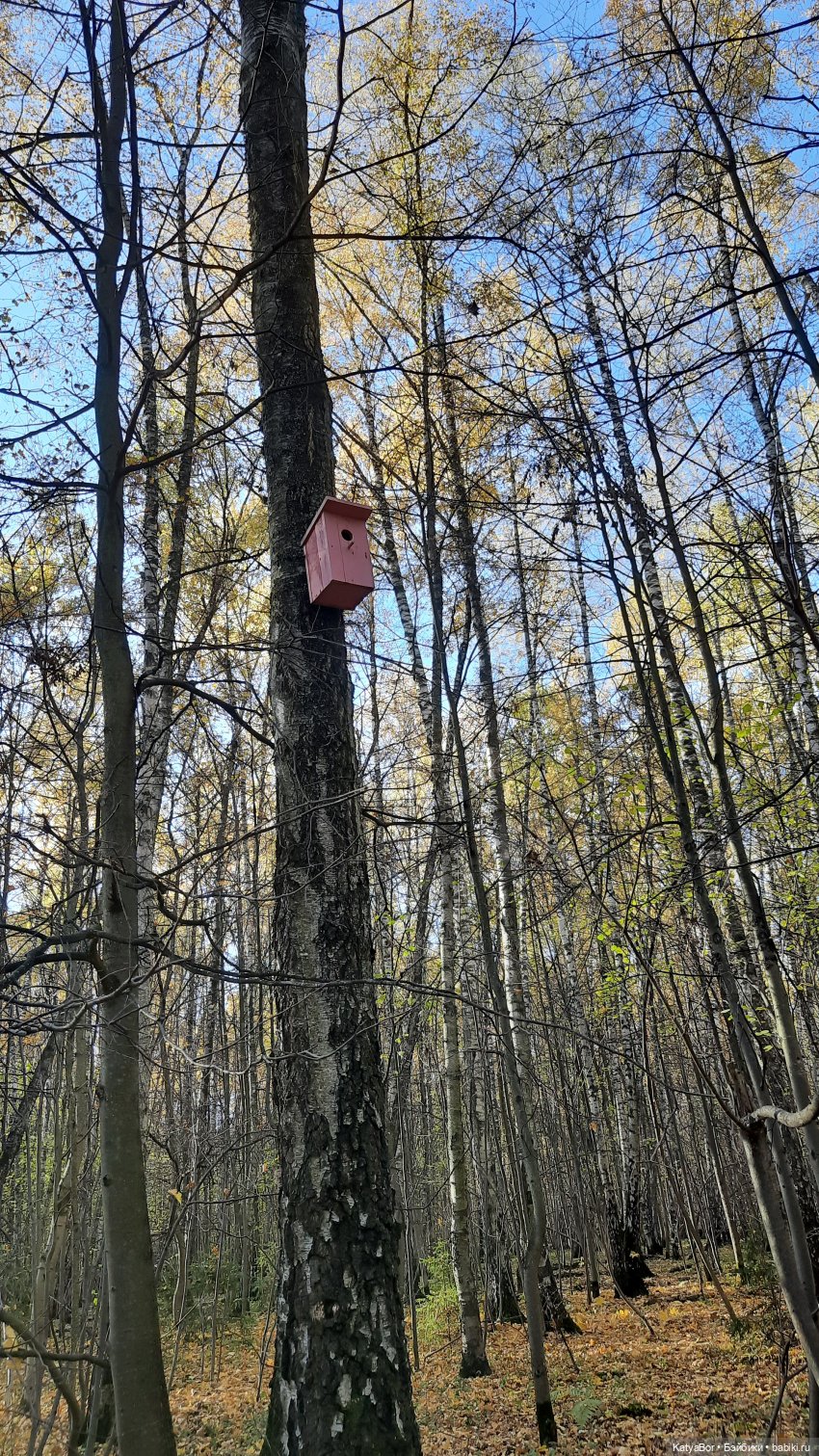 Новые приключения в Битце