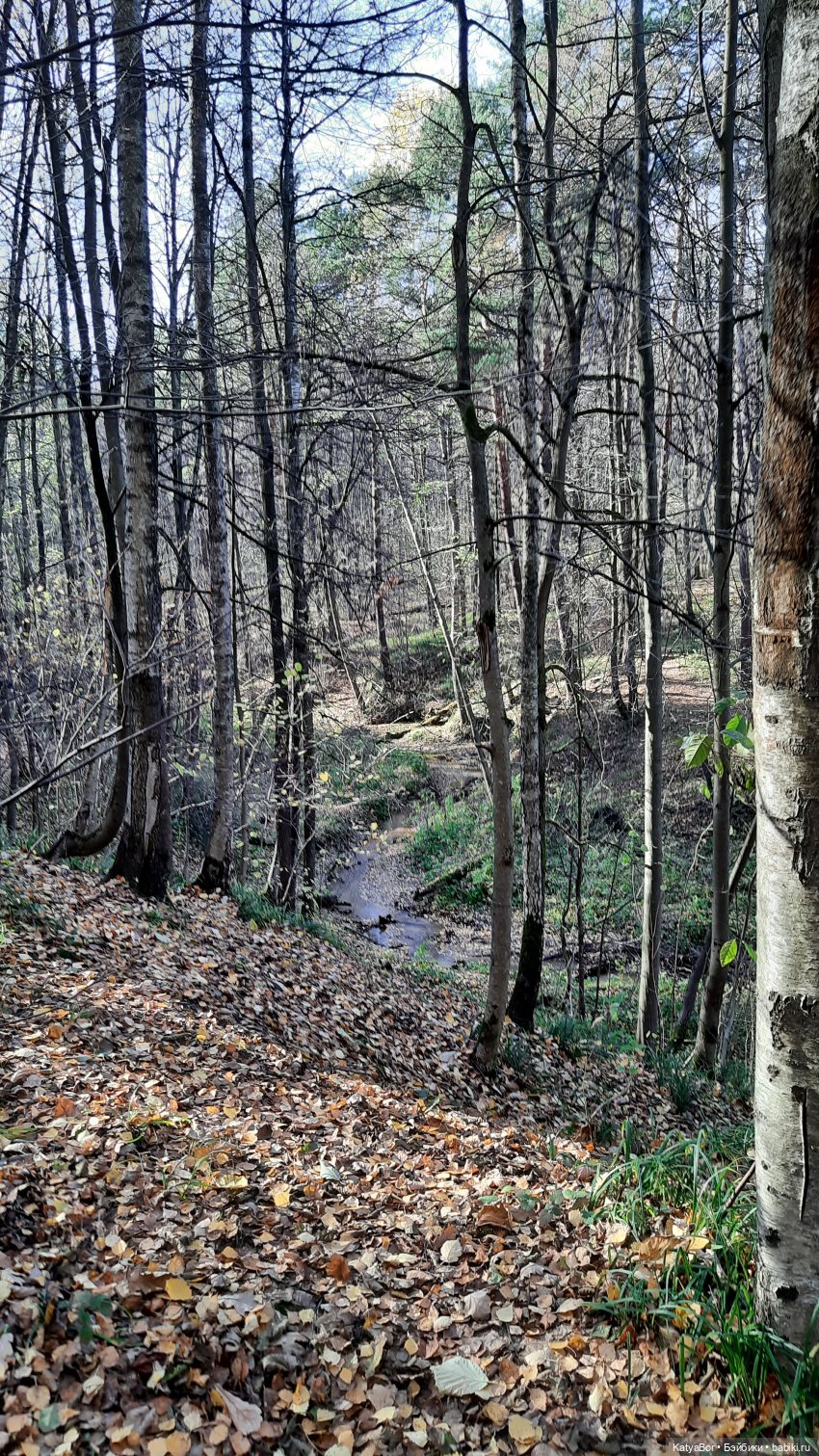 Новые приключения в Битце