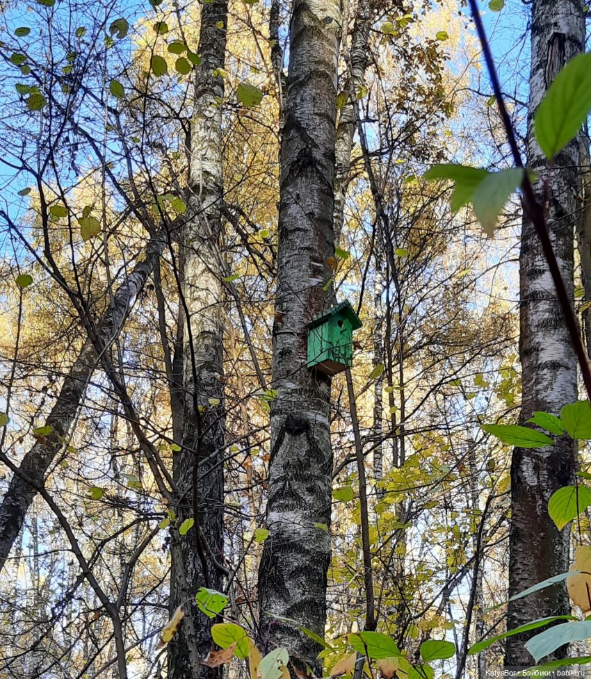 Новые приключения в Битце