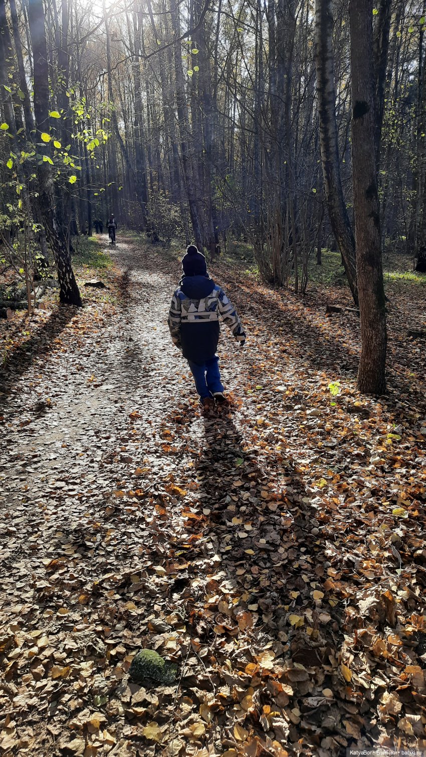 Новые приключения в Битце