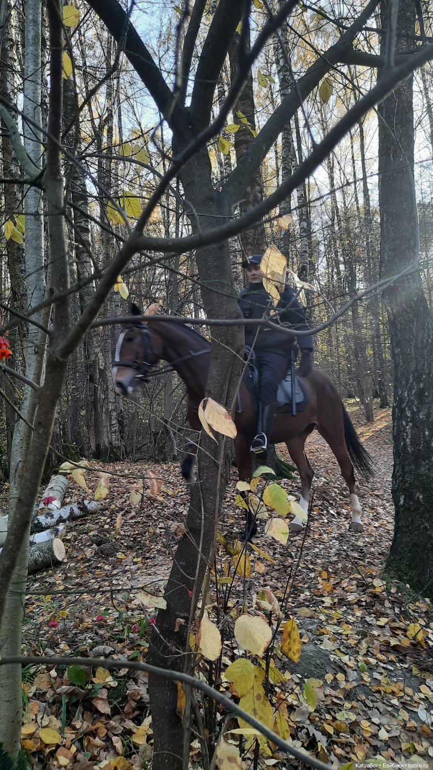 Новые приключения в Битце