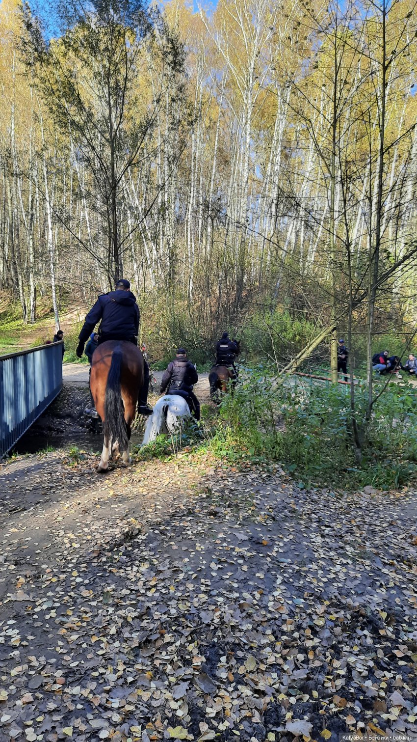 Новые приключения в Битце