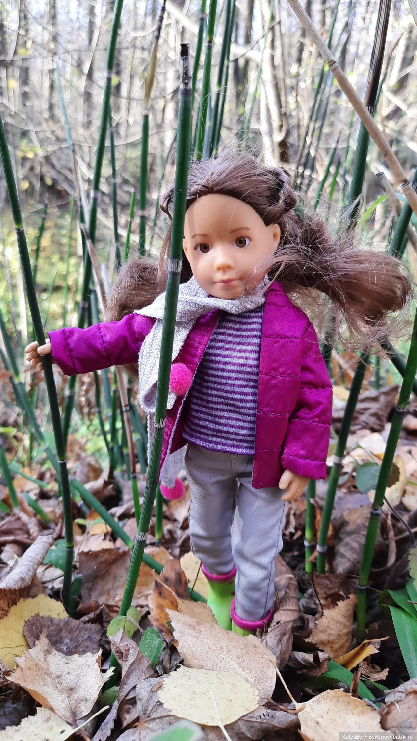 Новые приключения в Битце