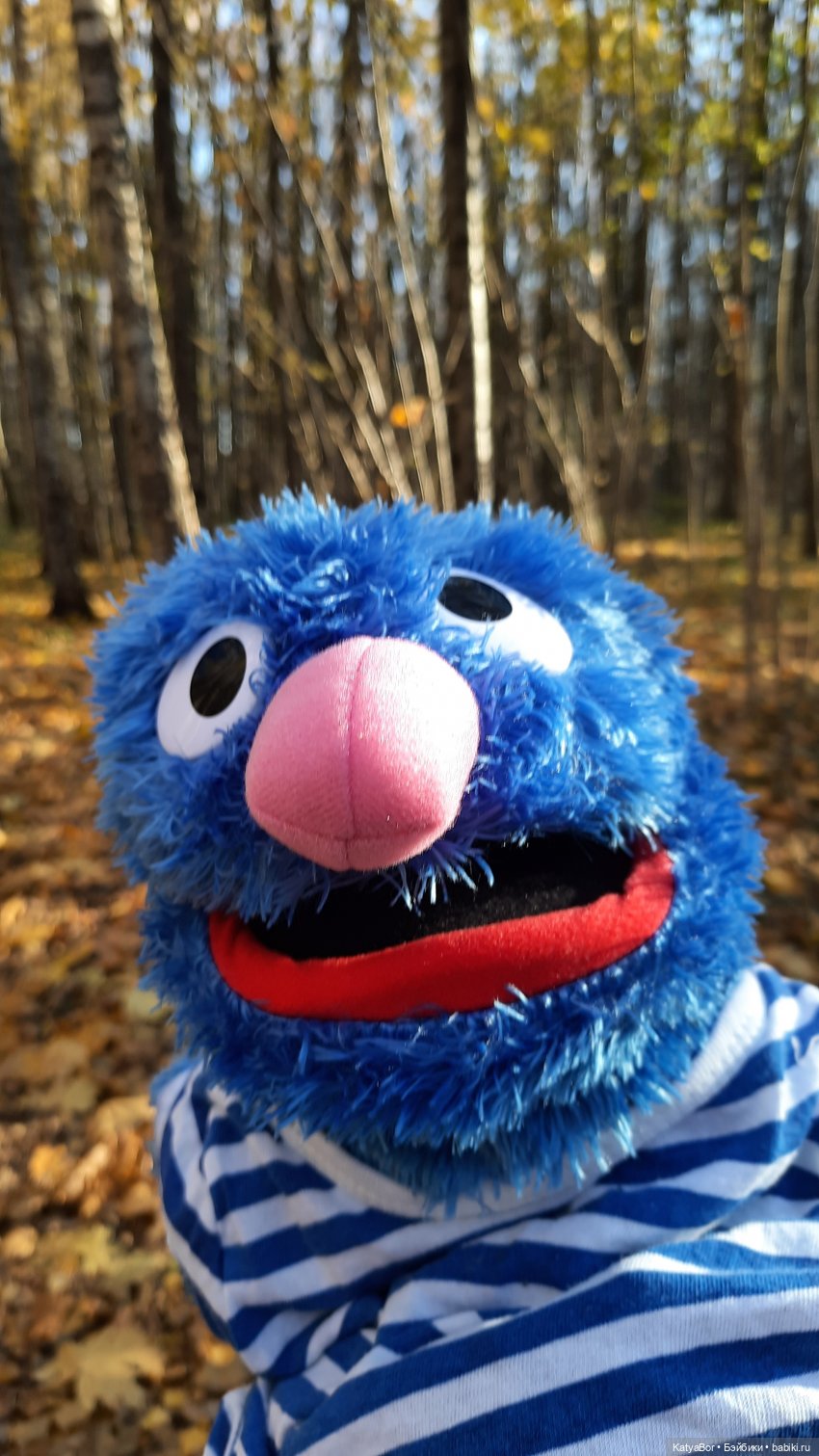 Новые приключения в Битце