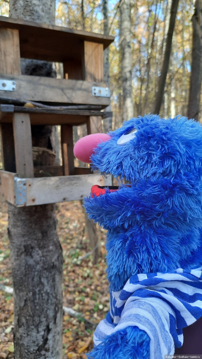 Новые приключения в Битце