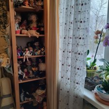 60 топик. Пора, что ли, шкаф показать...