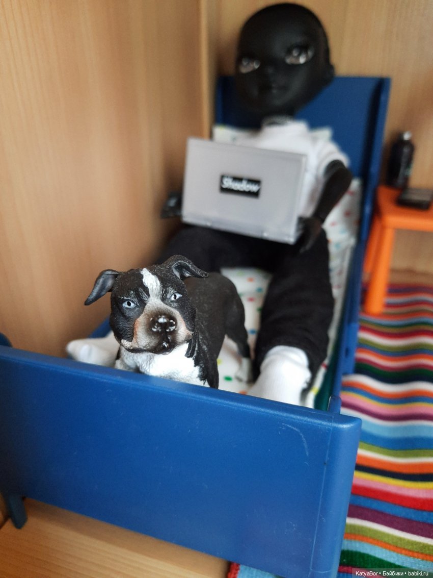 "Здравствуй, племя младое, незнакомое!" (фото 3)