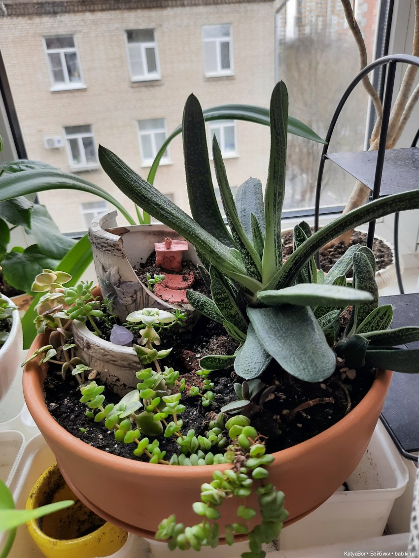 Садовницы — Куклы Paola Reina (Паола Рейна): новинки