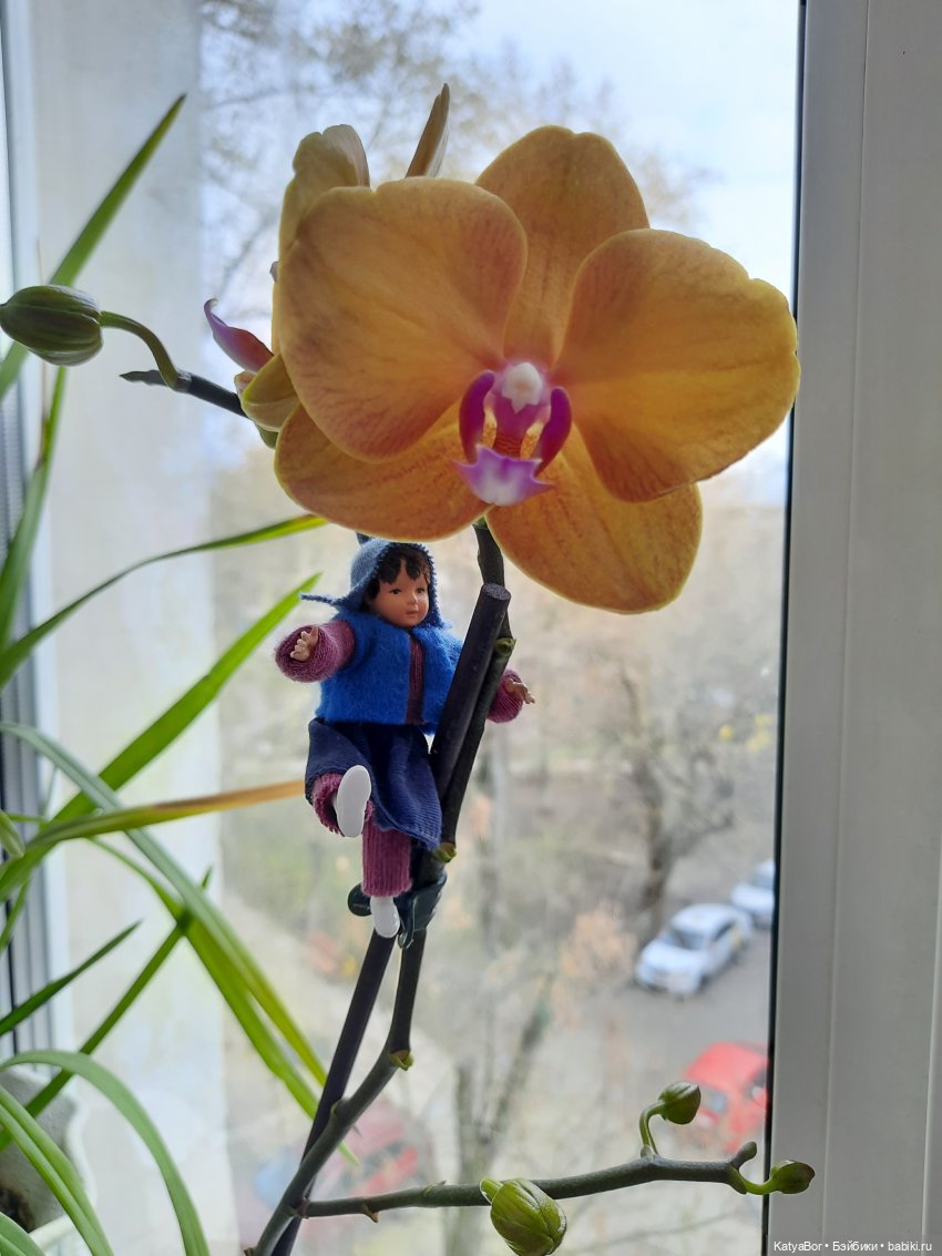 Садовницы — Куклы Paola Reina (Паола Рейна): новинки