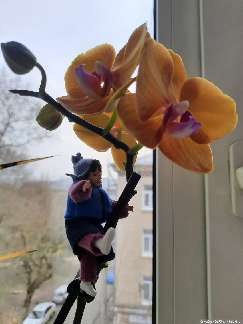 Садовницы — Куклы Paola Reina (Паола Рейна): новинки