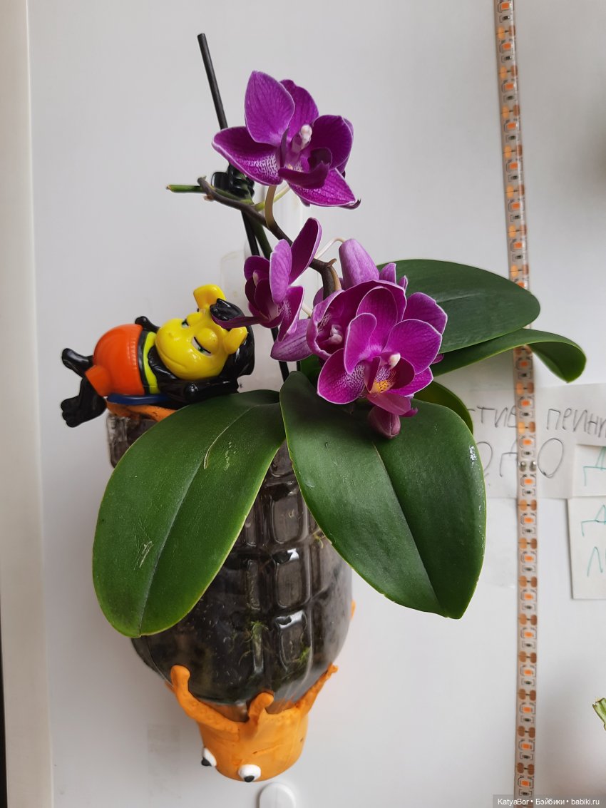 Садовницы — Куклы Paola Reina (Паола Рейна): новинки