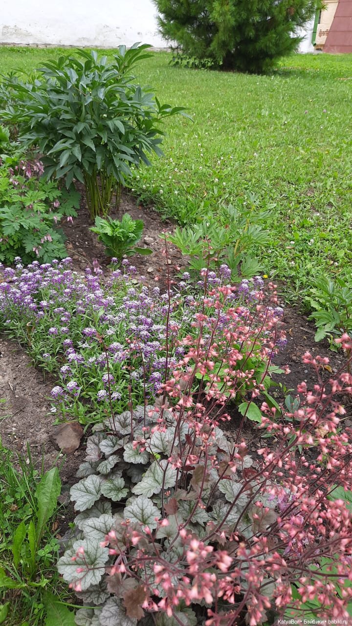 Путевые заметки с борта теплохода о путешествии с детьми и куклами. Кирилло-Белозерский монастырь. Вологодская область. День