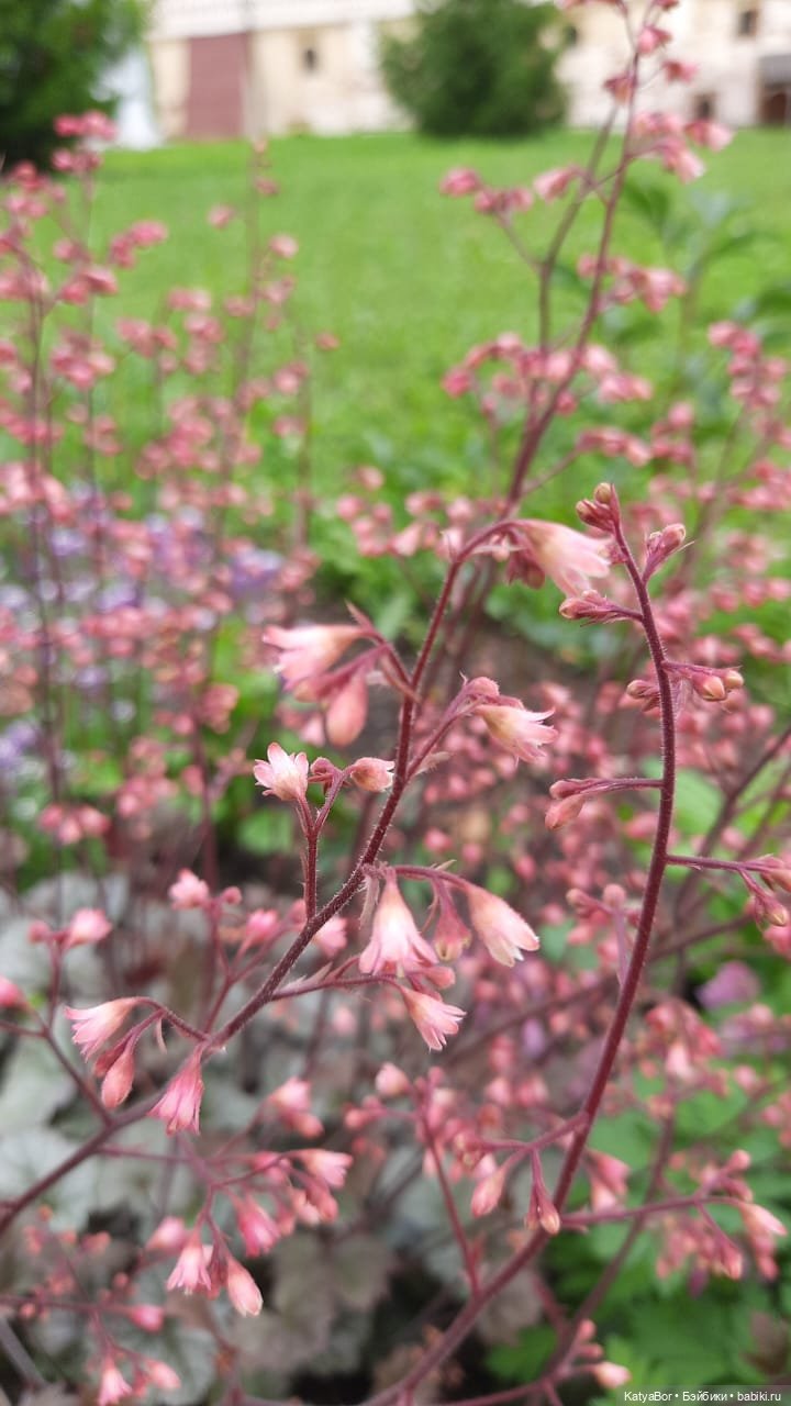 Путевые заметки с борта теплохода о путешествии с детьми и куклами. Кирилло-Белозерский монастырь. Вологодская область. День