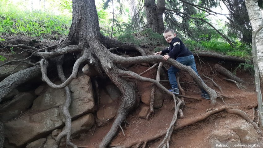 Держим курс на Валаам. Путевые заметки с борта теплохода о путешествии с детьми и куклами. Дни 4-5