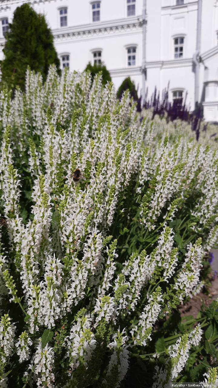 Держим курс на Валаам. Путевые заметки с борта теплохода о путешествии с детьми и куклами. Дни 4-5