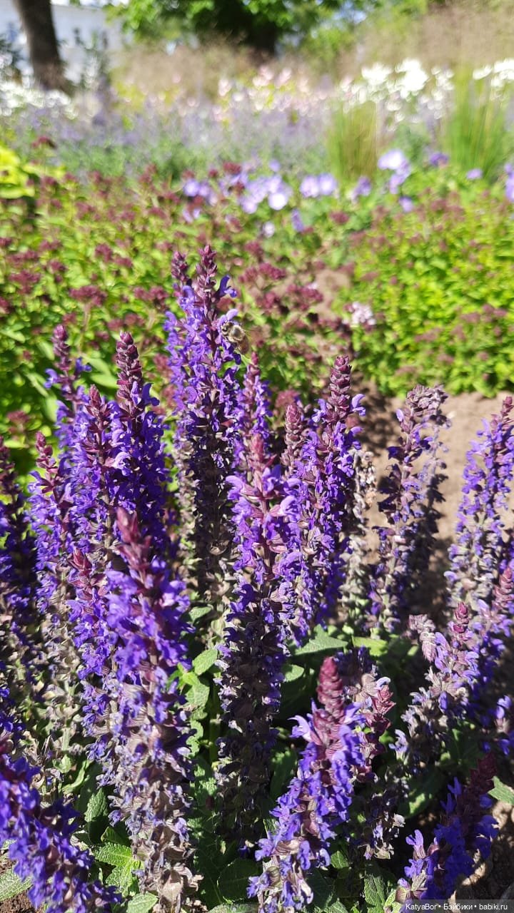 Держим курс на Валаам. Путевые заметки с борта теплохода о путешествии с детьми и куклами. Дни 4-5