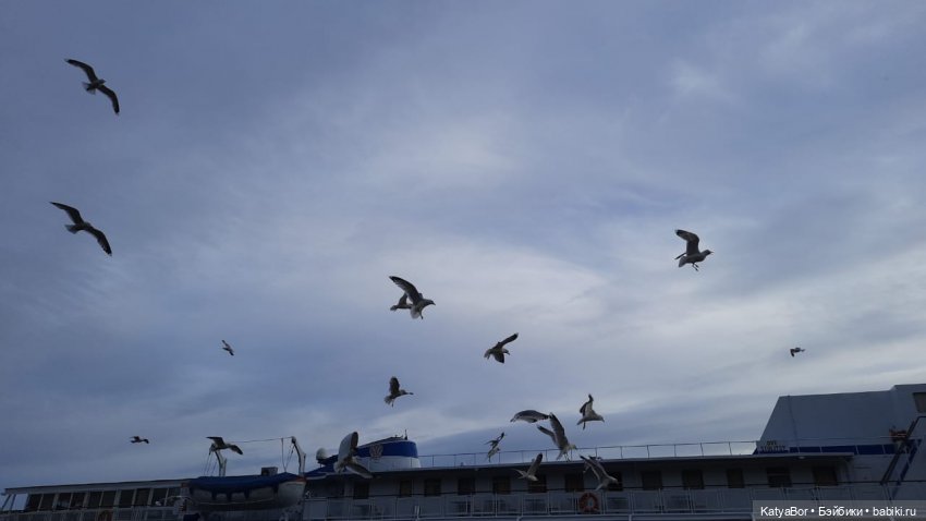 Держим курс на Валаам. Путевые заметки с борта теплохода о путешествии с детьми и куклами. Дни 4-5