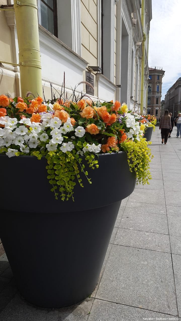 Петербургские прогулки и музей железнодорожного транспорта