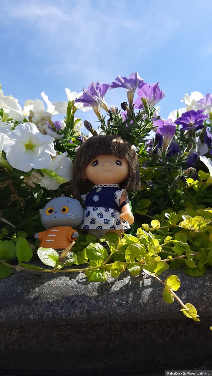 Петербургские прогулки и музей железнодорожного транспорта (фото 8)