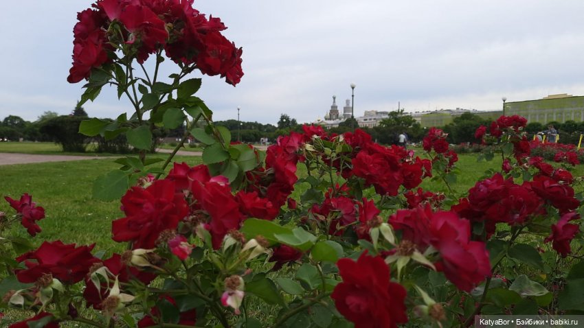 Петербургские прогулки 3. Летний сад, Петропавловская крепость и не только