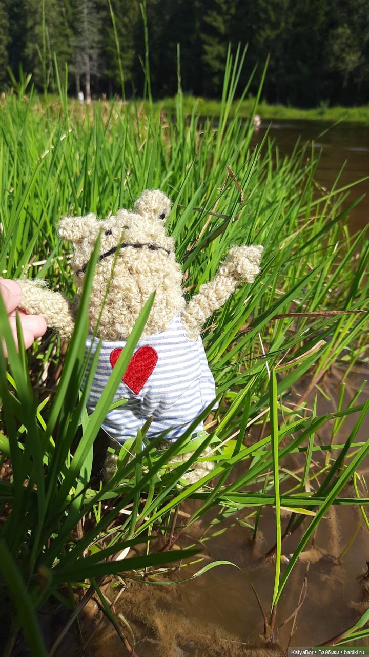 Позвольте представиться: Жаб Букля (фото 4)