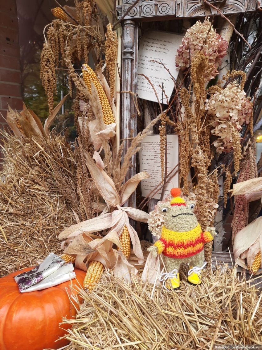 Лягушонок-путешественник Кваша гуляет (фото 6)