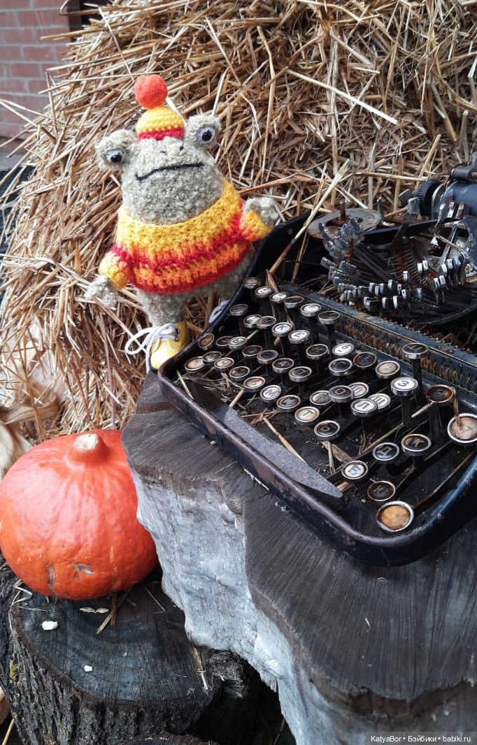 Лягушонок-путешественник Кваша гуляет (фото 8)