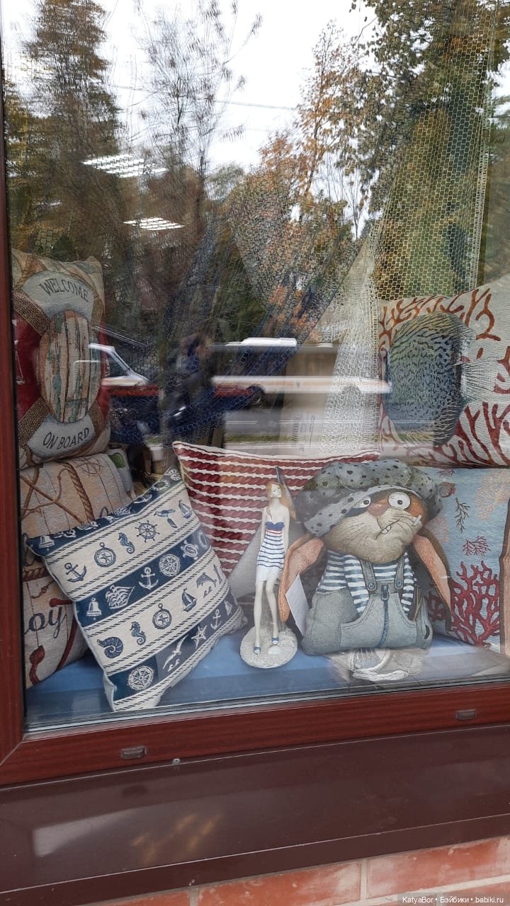 Лягушонок-путешественник Кваша гуляет