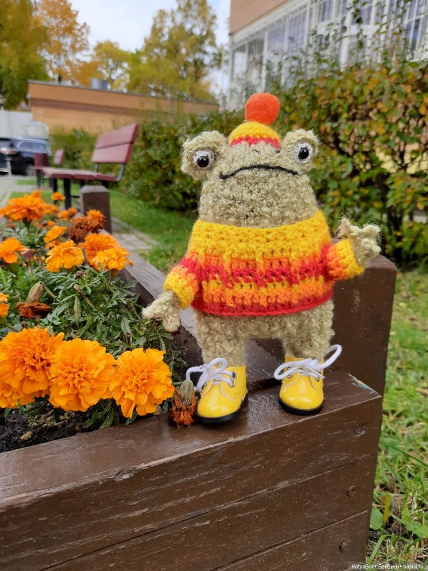 Лягушонок-путешественник Кваша гуляет (фото 2)