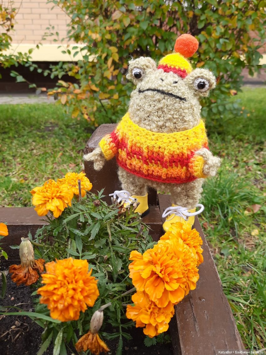 Лягушонок-путешественник Кваша гуляет (фото 3)