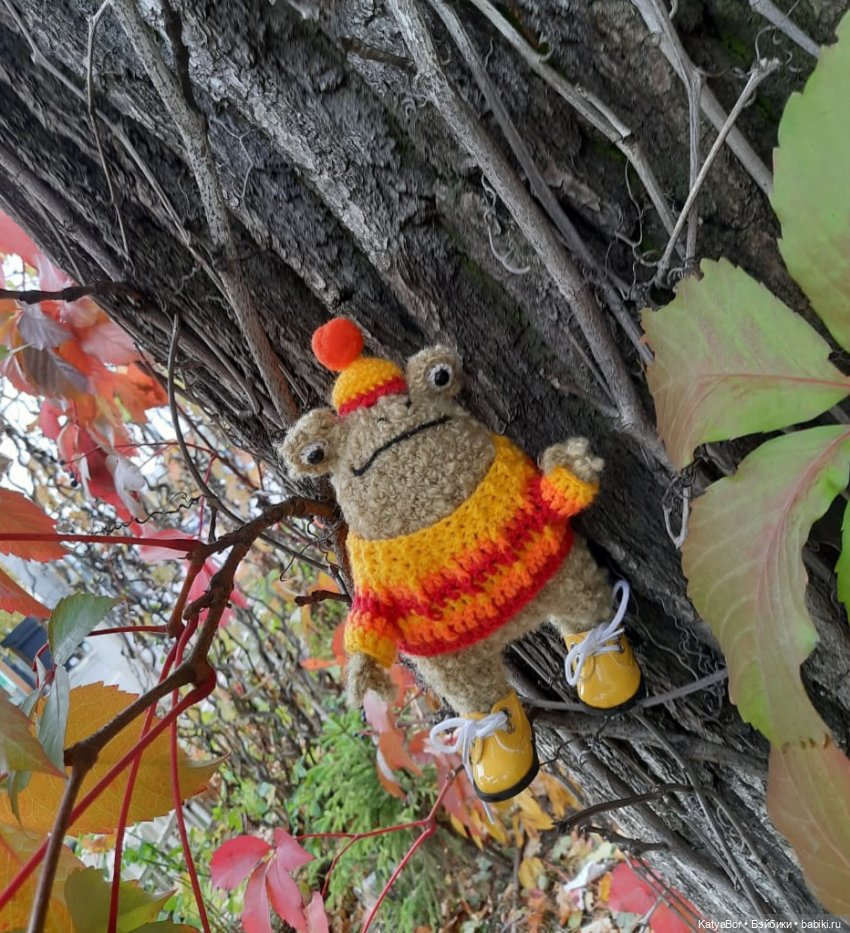 Лягушонок-путешественник Кваша гуляет (фото 7)