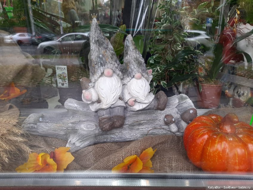 Лягушонок-путешественник Кваша гуляет (фото 10)