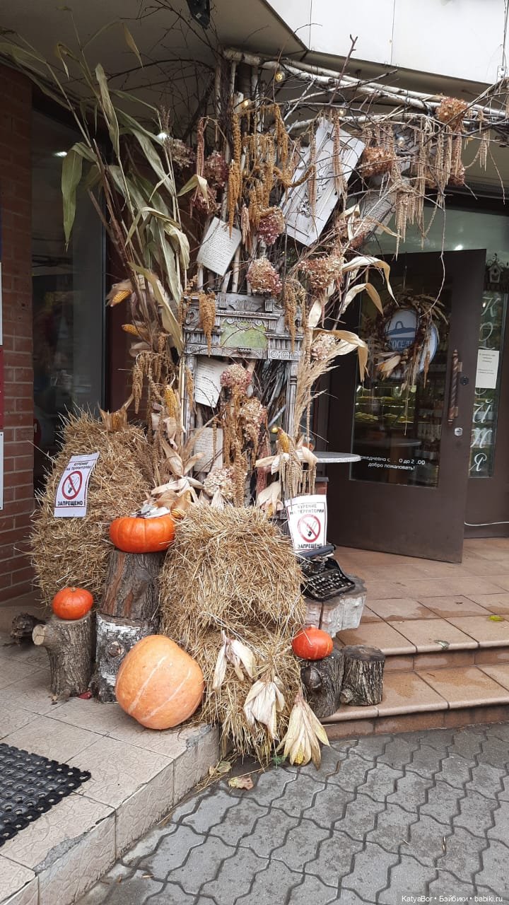 Лягушонок-путешественник Кваша гуляет (фото 9)